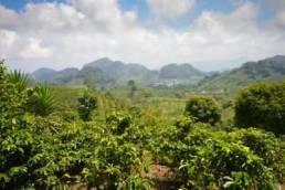 Honduras