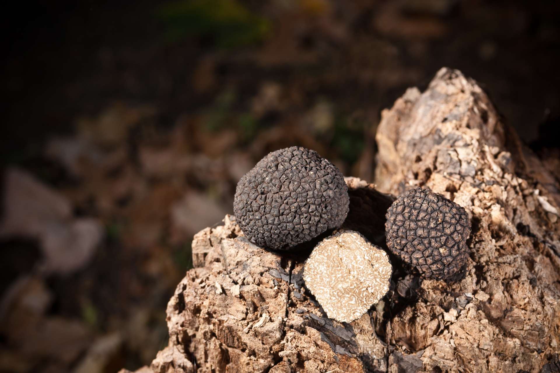 Italian Truffle